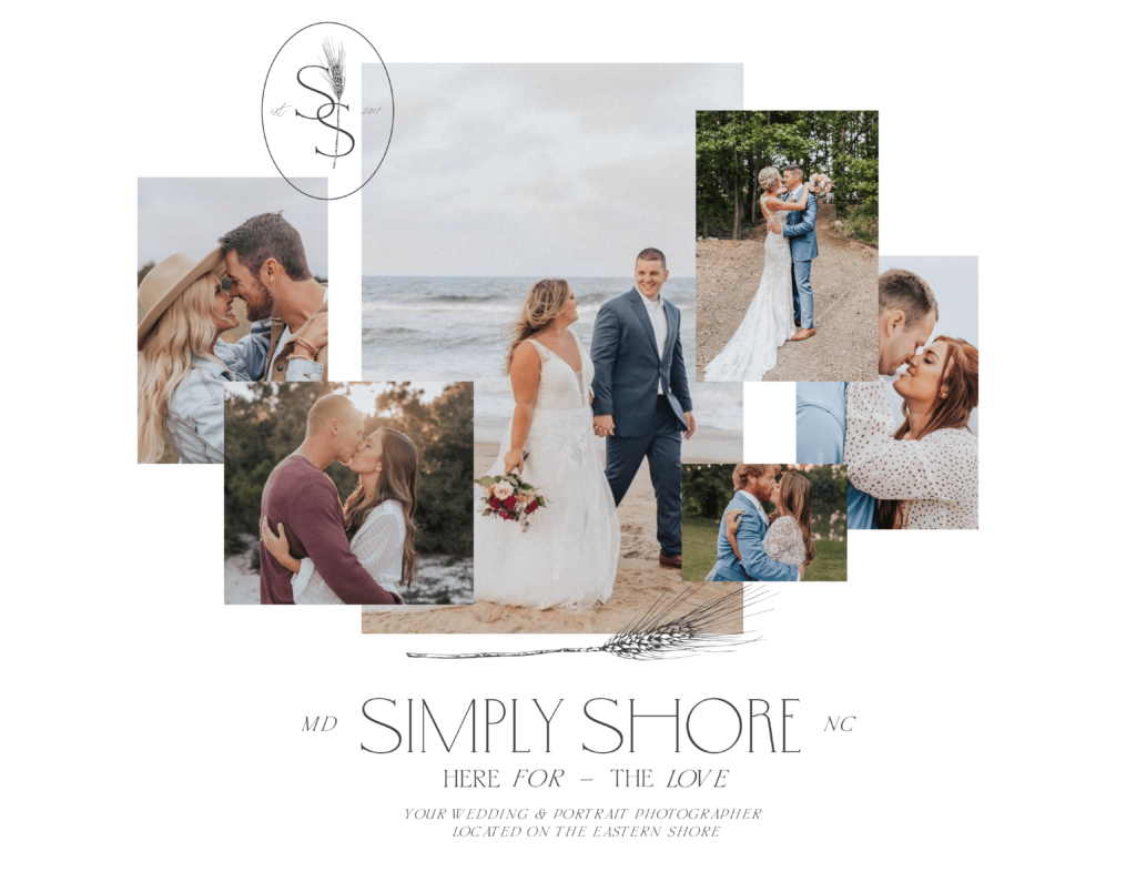 Simply Shore A Neutral Photography Brand Design